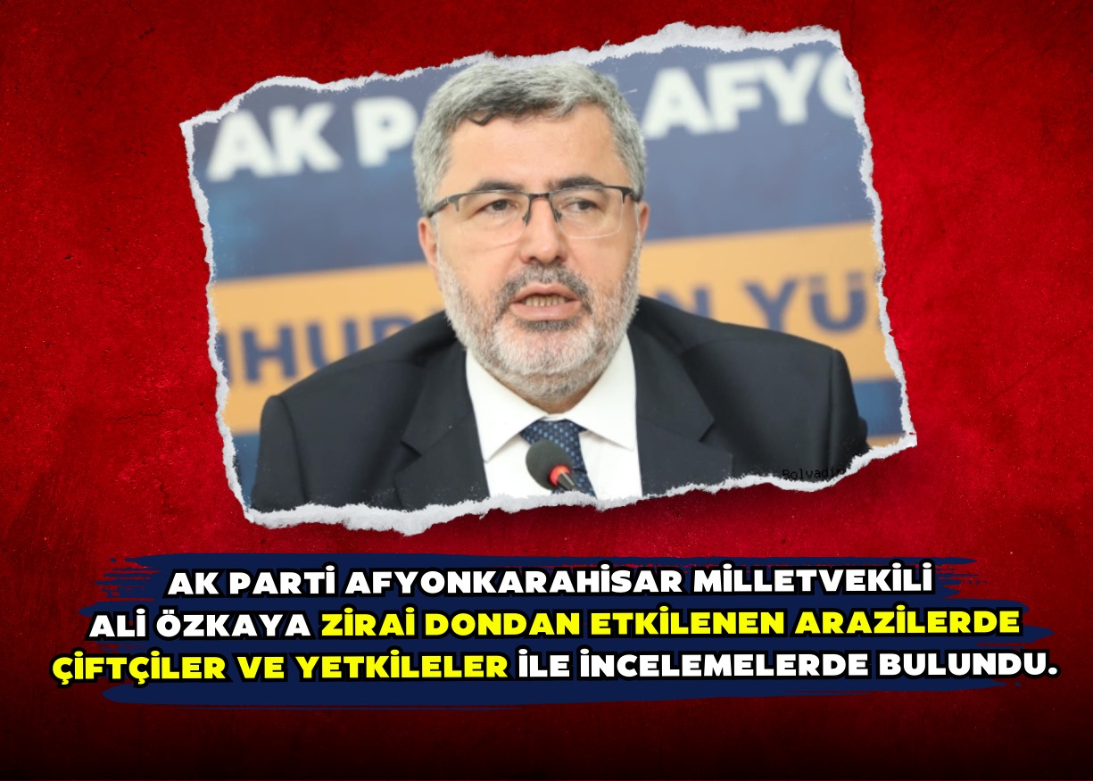 AK Parti Afyonkarahisar Milletvekili Ali Özkaya zirai dondan etkilenen arazilerde çiftçiler ve yetkileler ile incelemelerde bulundu.